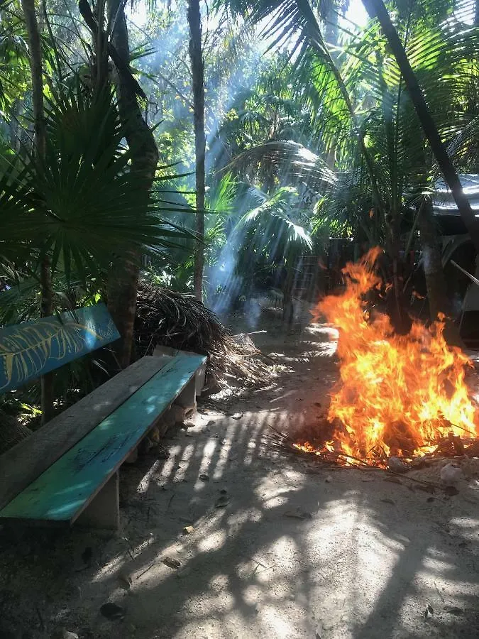ホテルCenote Encantado Tulum Eco-Glamping Camp