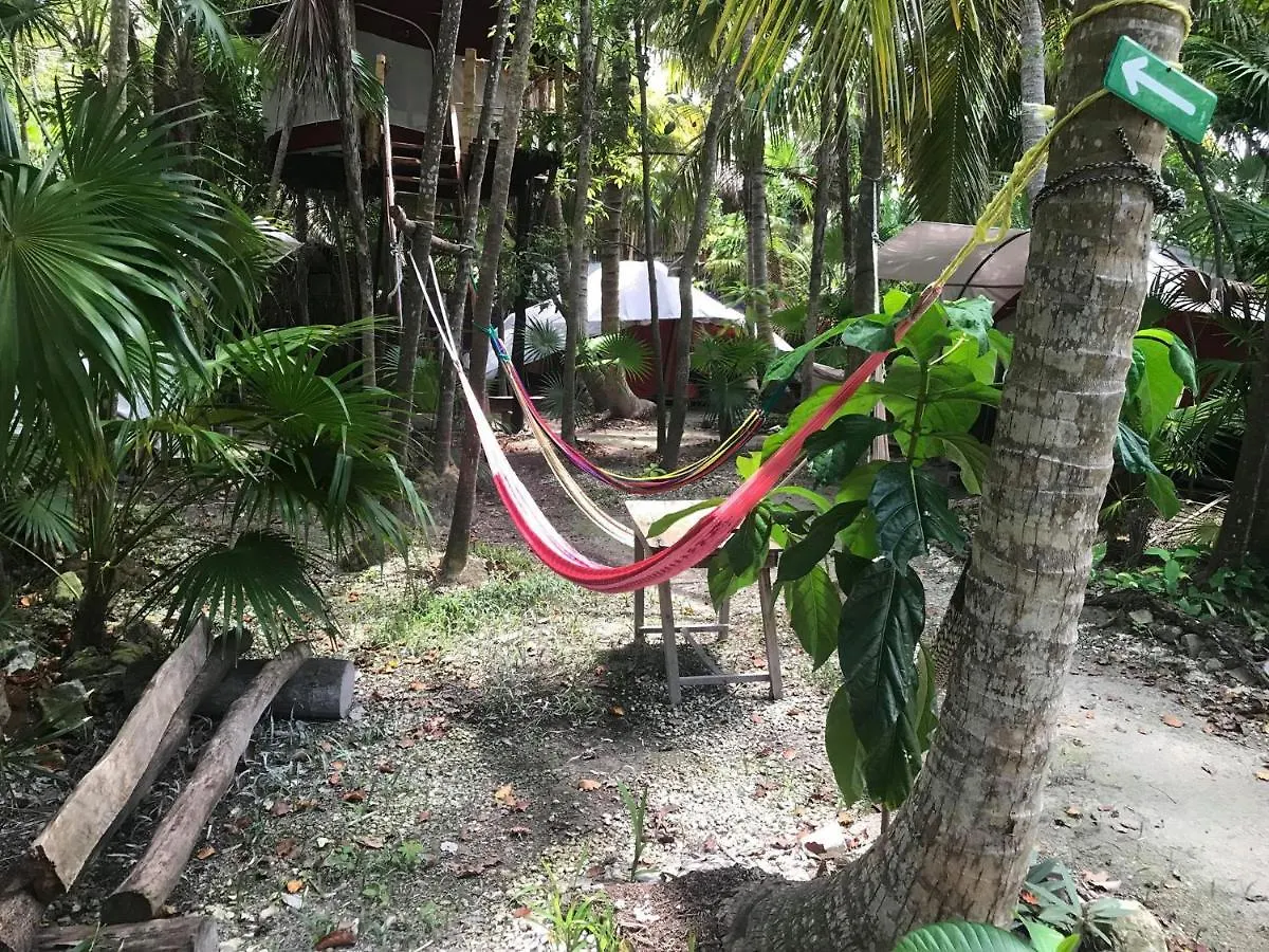 ホテルCenote Encantado Tulum Eco-Glamping Camp